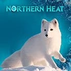 Northern Heat screenshot
